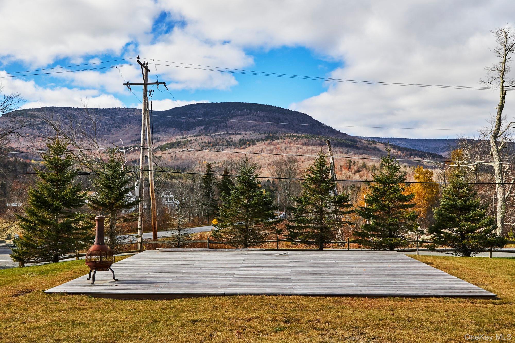 Single Family Platte Clove Greene County, NY 12442, MLS-927385-14