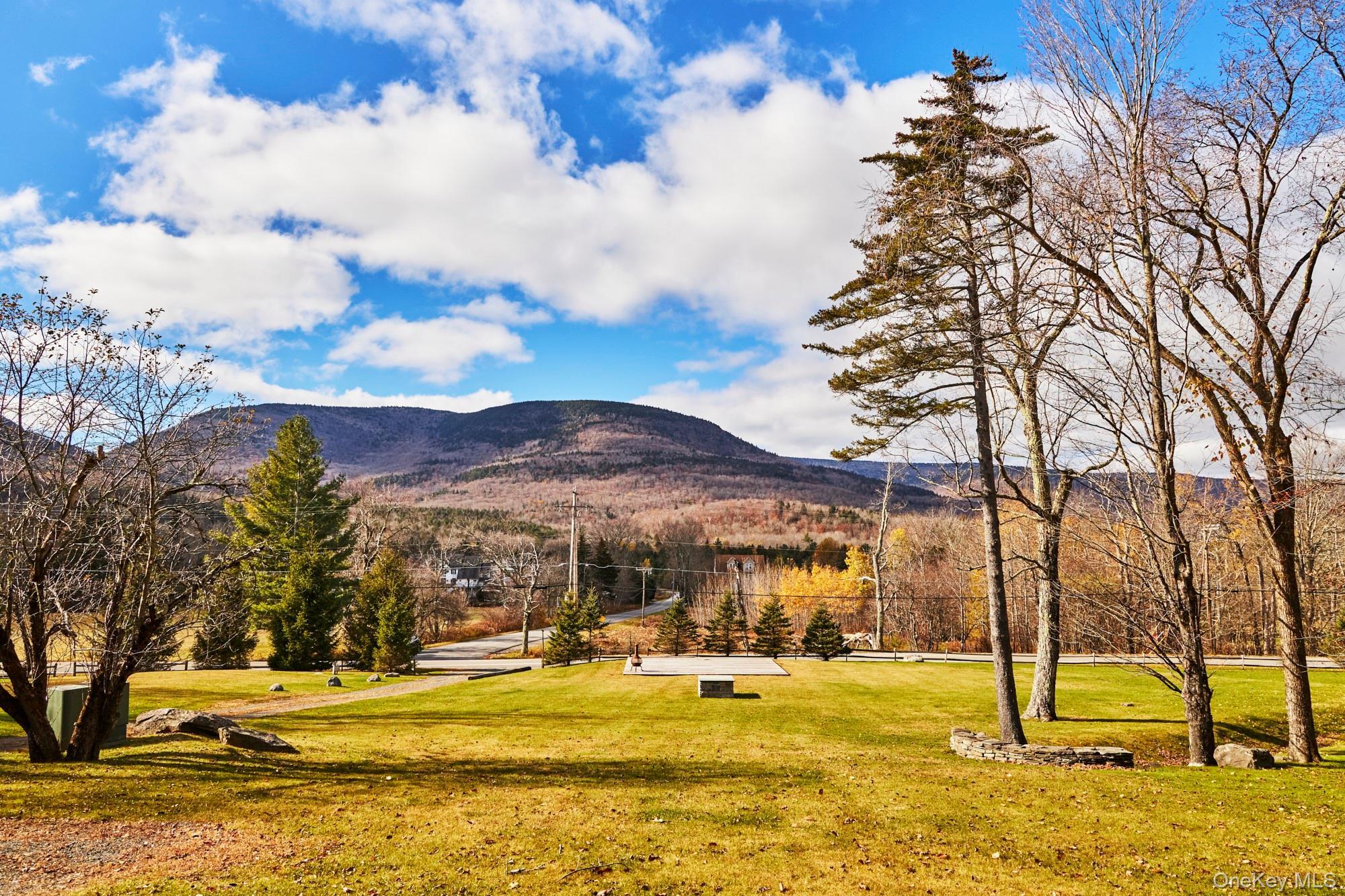 Single Family Platte Clove Greene County, NY 12442, MLS-927385-15