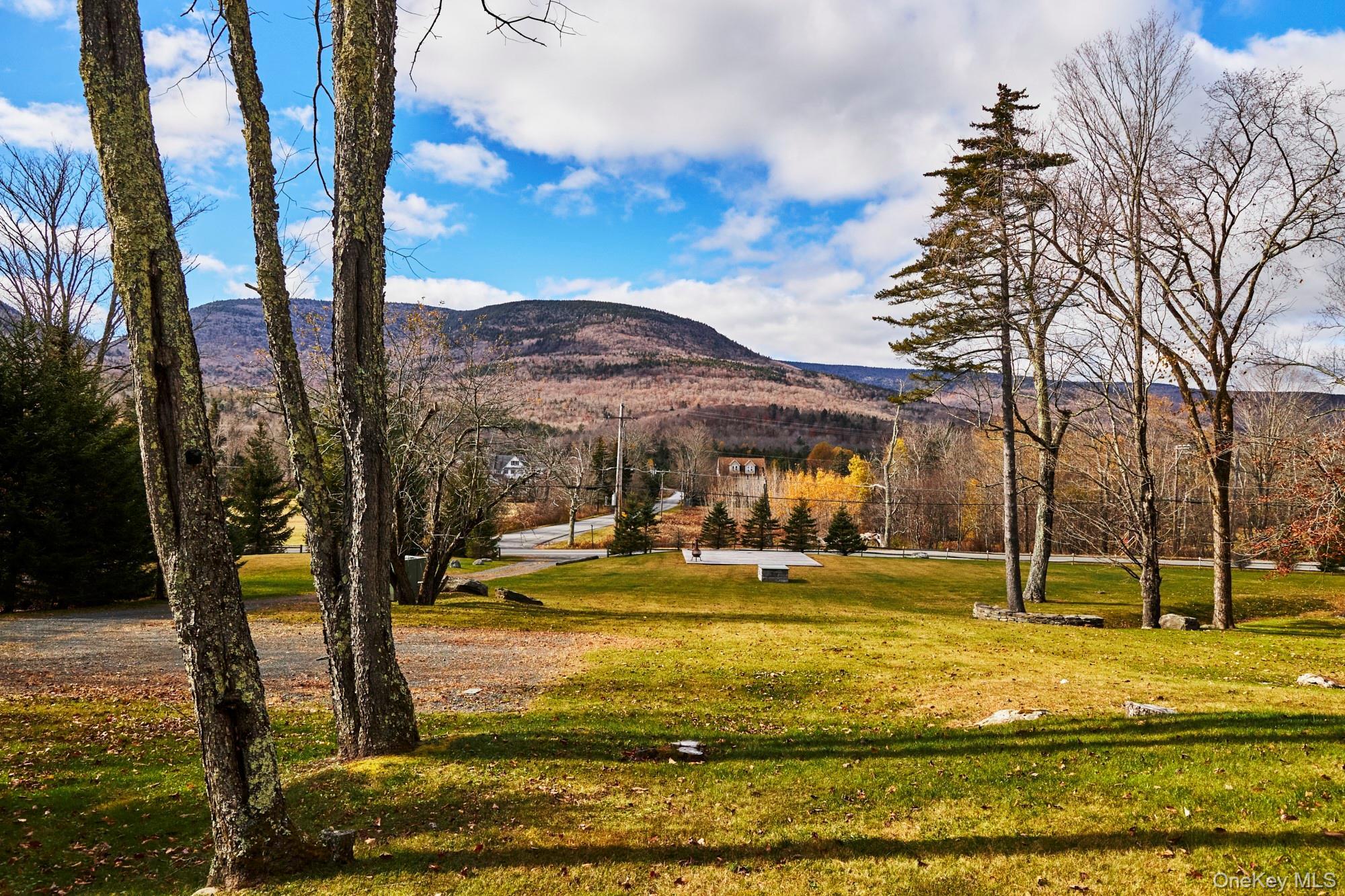 Single Family Platte Clove Greene County, NY 12442, MLS-927385-17