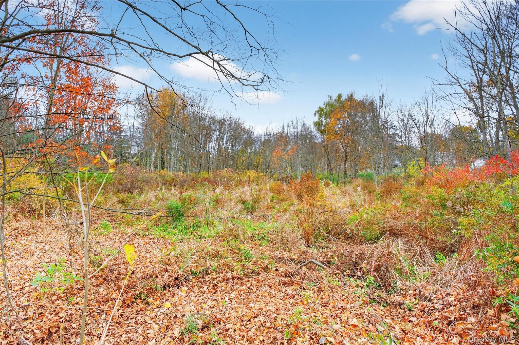 Single Family Salt Point  Dutchess County, NY 12601, MLS-927401-38