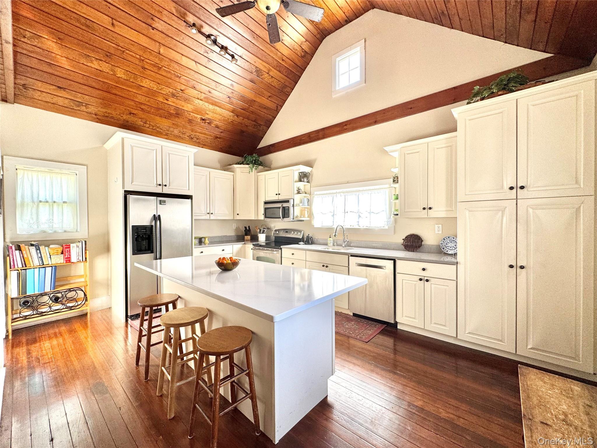 Single Family High Greene County, NY 12414, MLS-927409-10