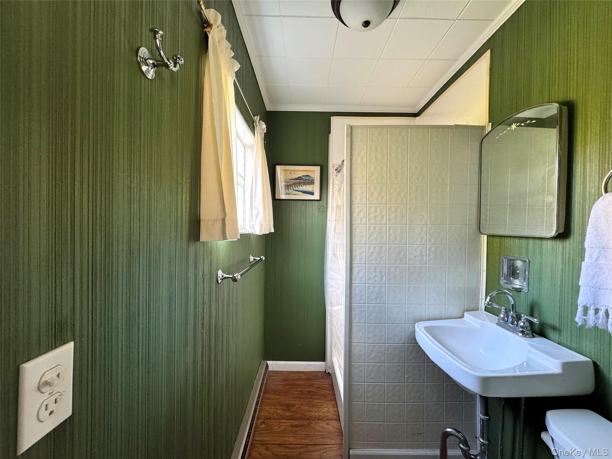 Single Family High Greene County, NY 12414, MLS-927409-22