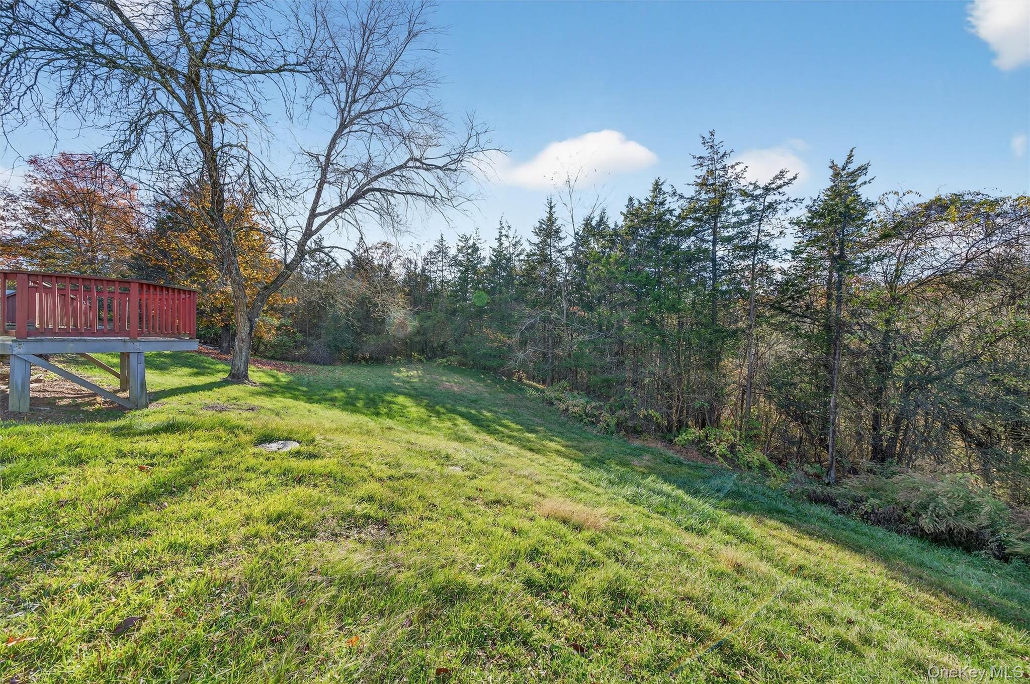 Single Family Oxford Orange County, NY 10918, MLS-927454-49