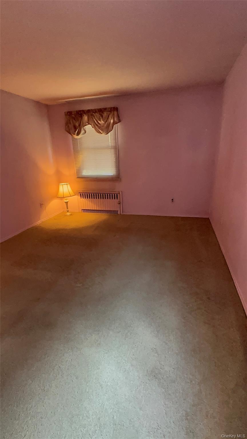 Single Family 258th  Queens, NY 11004, MLS-927472-6