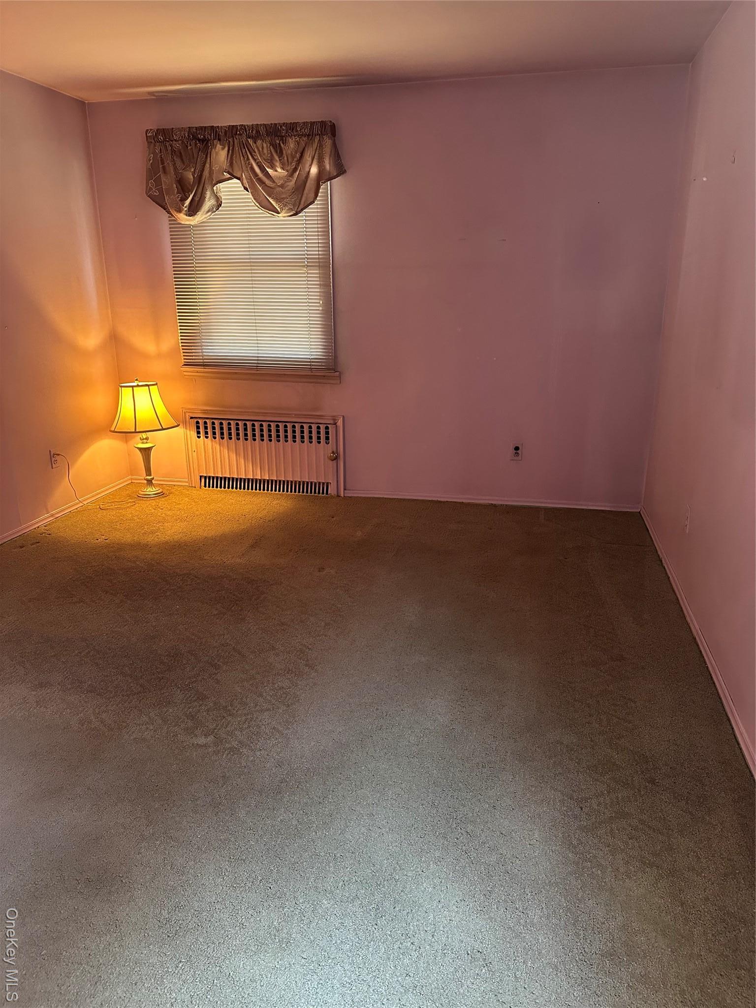 Single Family 258th  Queens, NY 11004, MLS-927472-7