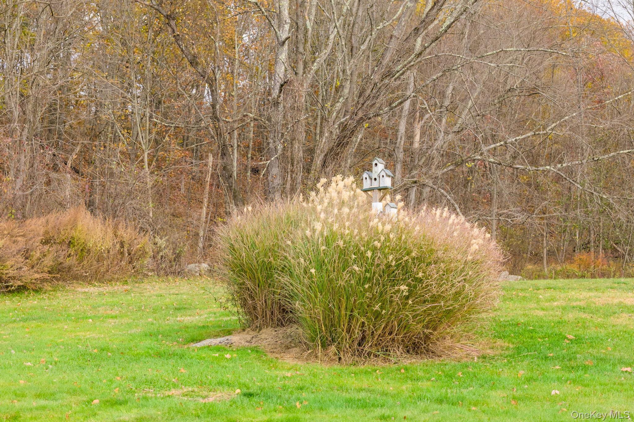 Single Family Charlotte  Orange County, NY 10940, MLS-927537-42