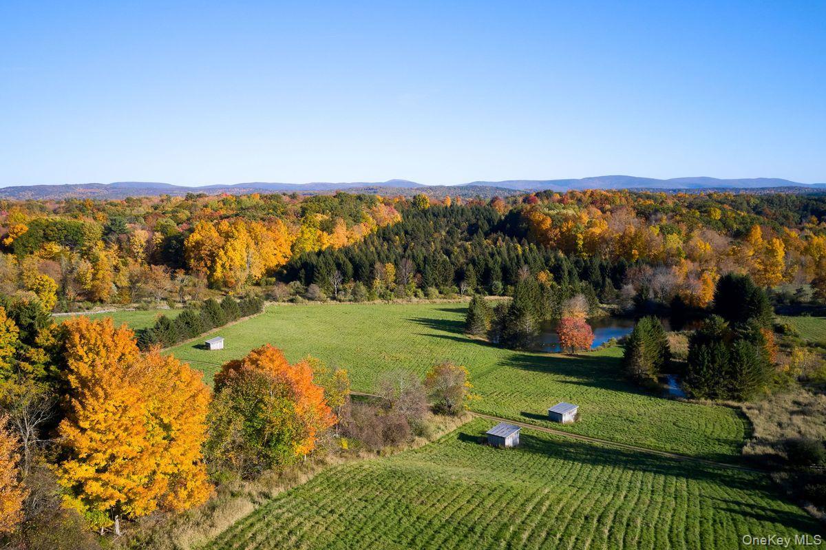 Single Family Martindale Columbia County, NY 12521, MLS-927653-10