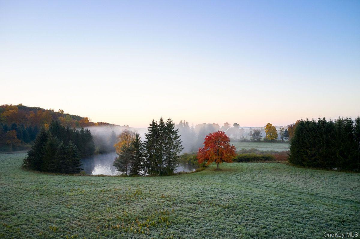 Single Family Martindale Columbia County, NY 12521, MLS-927653-11