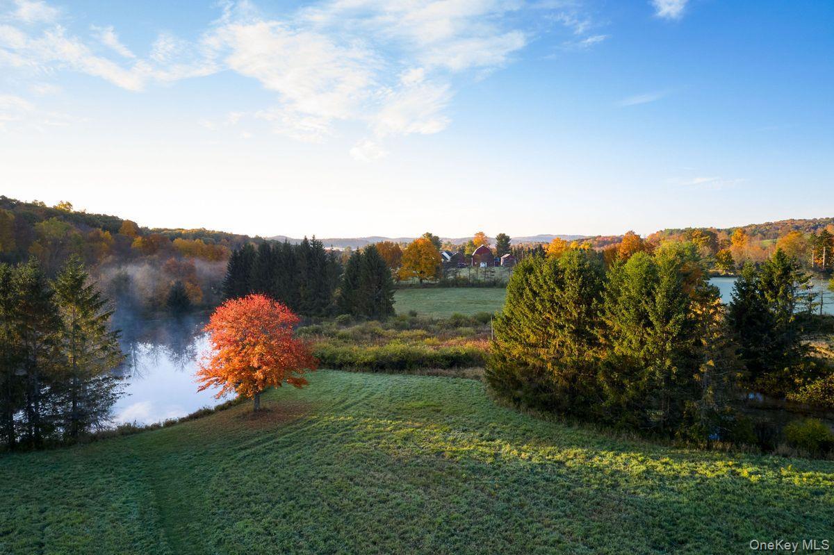 Single Family Martindale Columbia County, NY 12521, MLS-927653-12