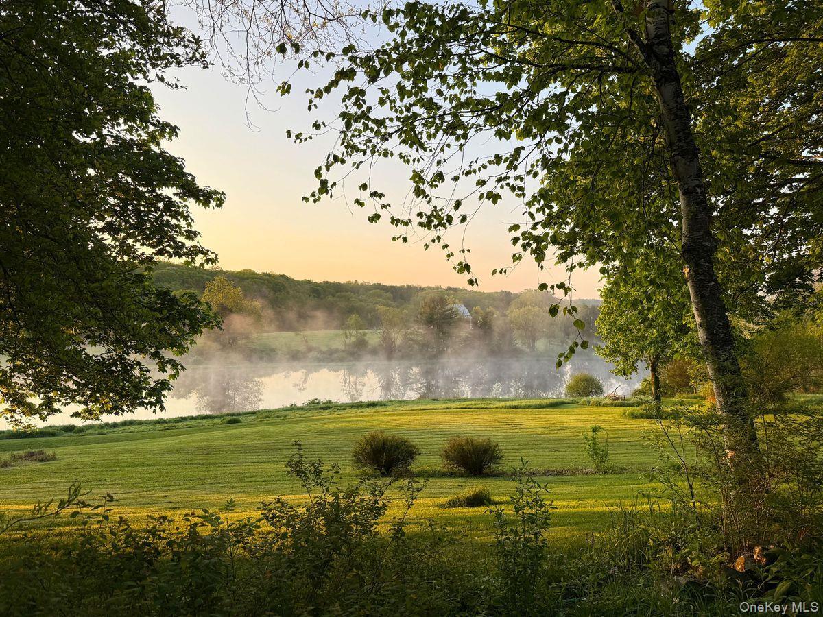 Single Family Martindale Columbia County, NY 12521, MLS-927653-13