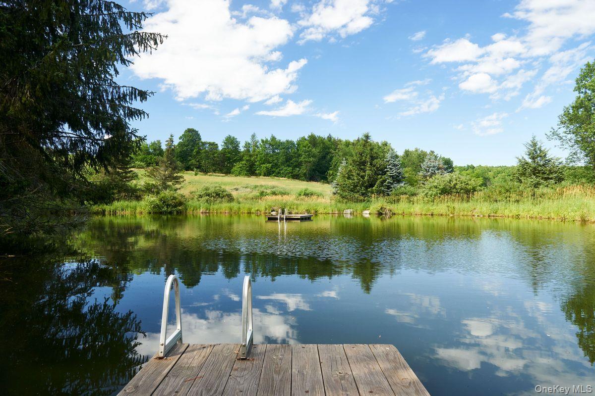 Single Family Martindale Columbia County, NY 12521, MLS-927653-14