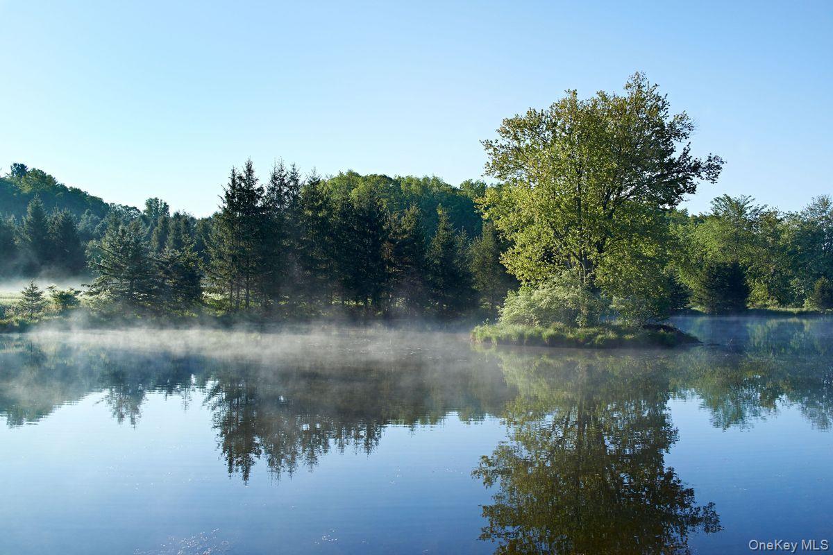 Single Family Martindale Columbia County, NY 12521, MLS-927653-15