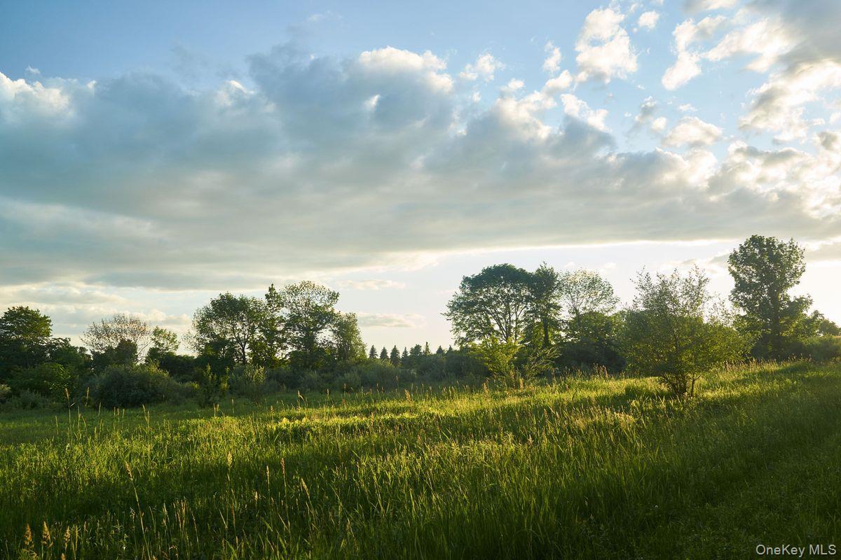 Single Family Martindale Columbia County, NY 12521, MLS-927653-17