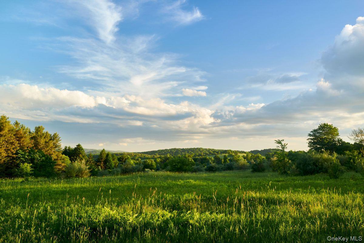 Single Family Martindale Columbia County, NY 12521, MLS-927653-18