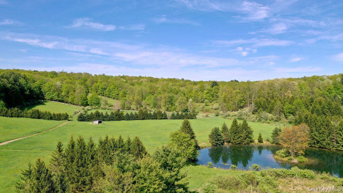 Single Family Martindale Columbia County, NY 12521, MLS-927653-19