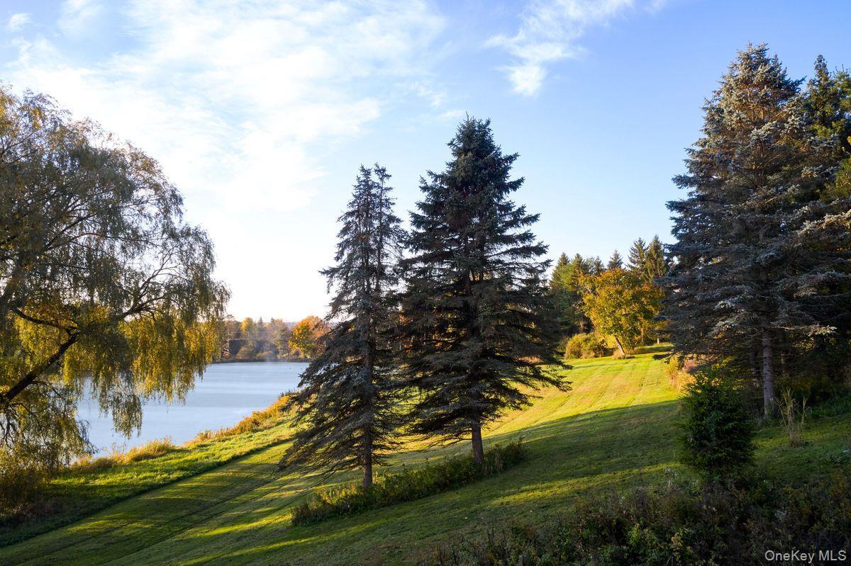 Single Family Martindale Columbia County, NY 12521, MLS-927653-21