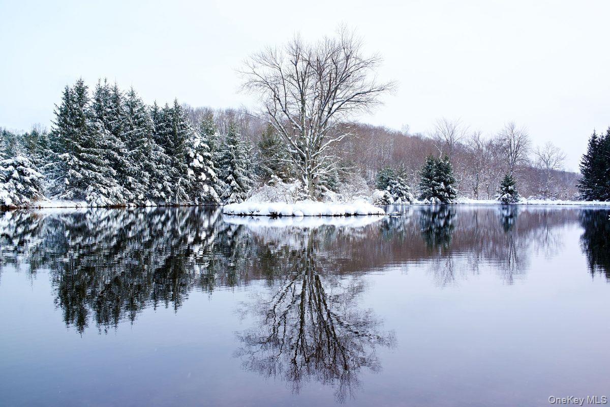 Single Family Martindale Columbia County, NY 12521, MLS-927653-26