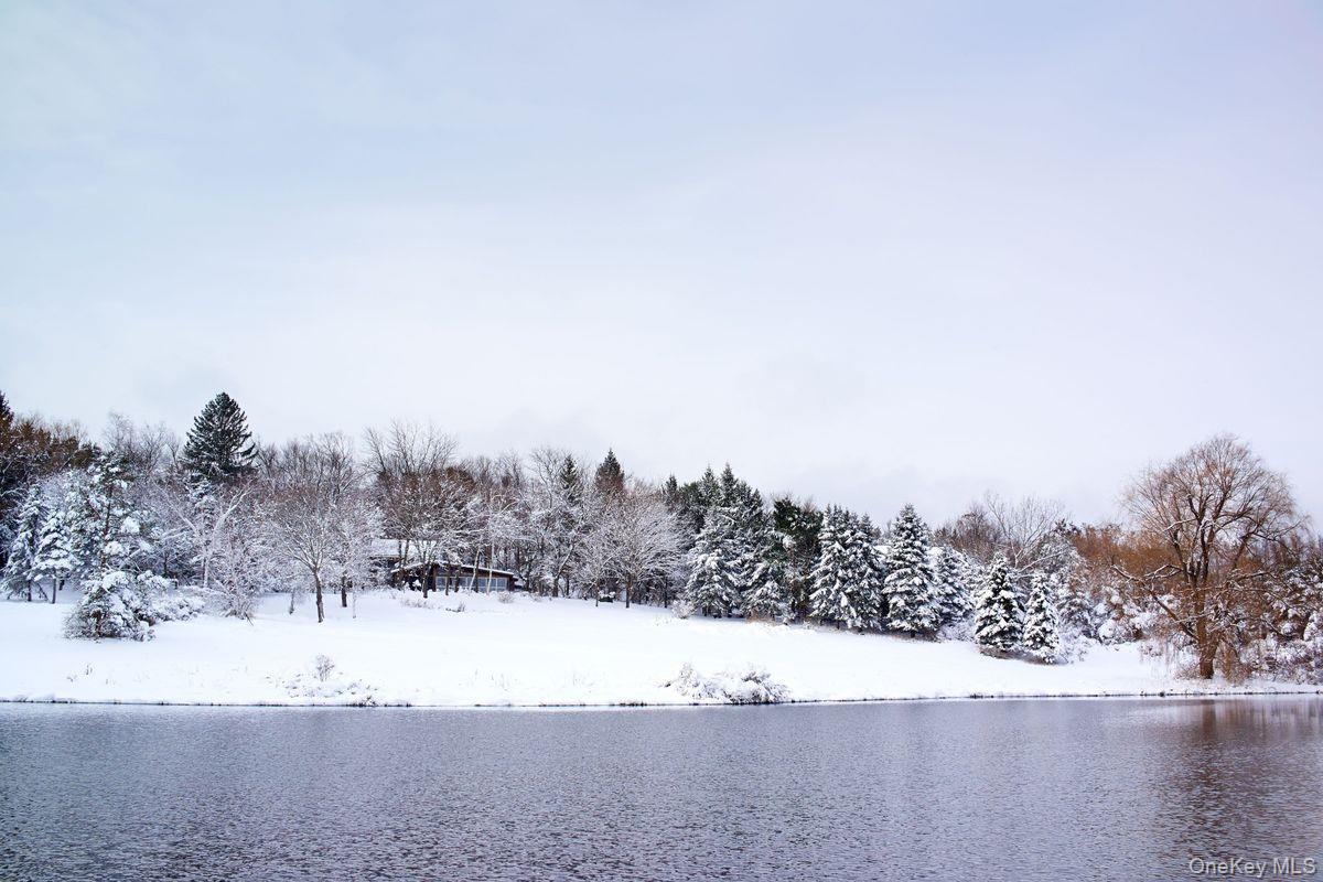 Single Family Martindale Columbia County, NY 12521, MLS-927653-27