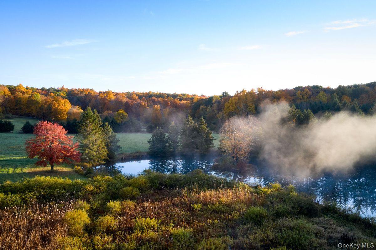 Single Family Martindale Columbia County, NY 12521, MLS-927653-3