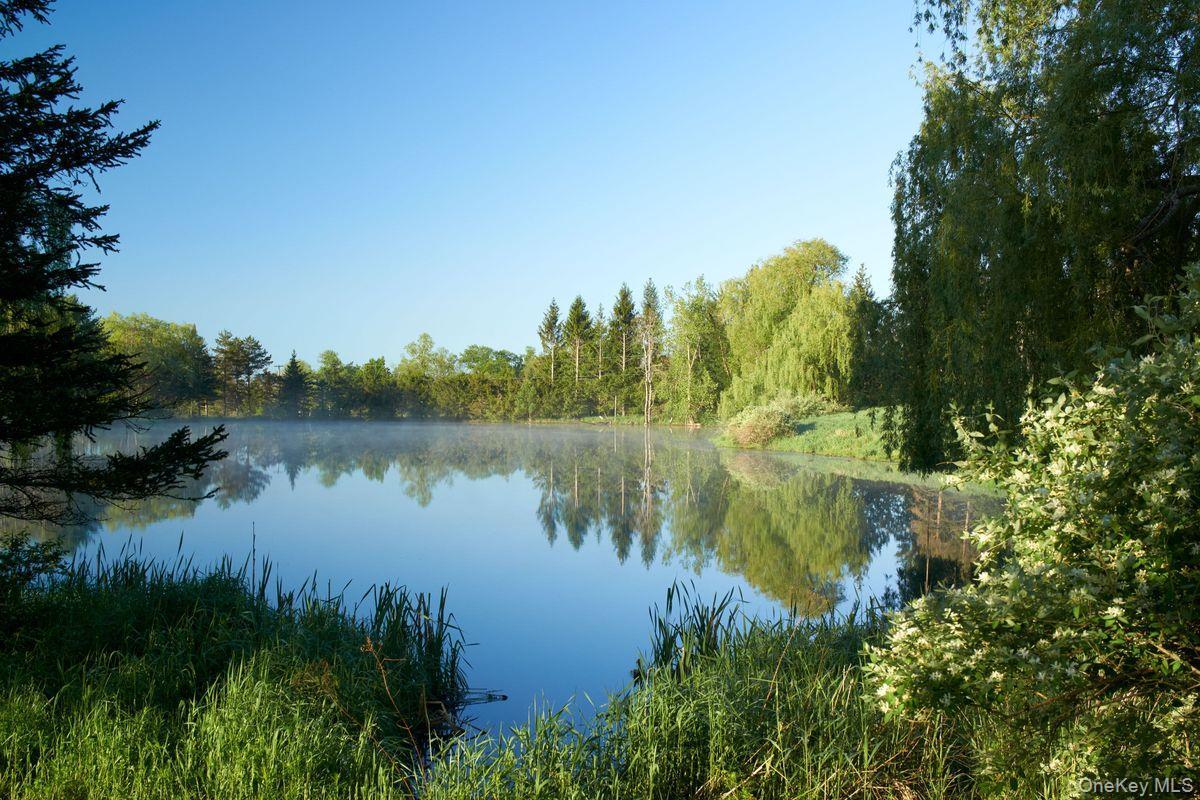 Single Family Martindale Columbia County, NY 12521, MLS-927653-33