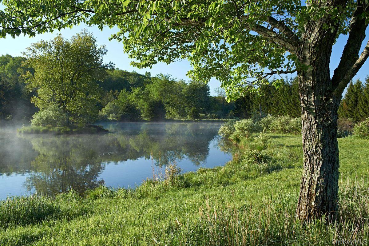 Single Family Martindale Columbia County, NY 12521, MLS-927653-34