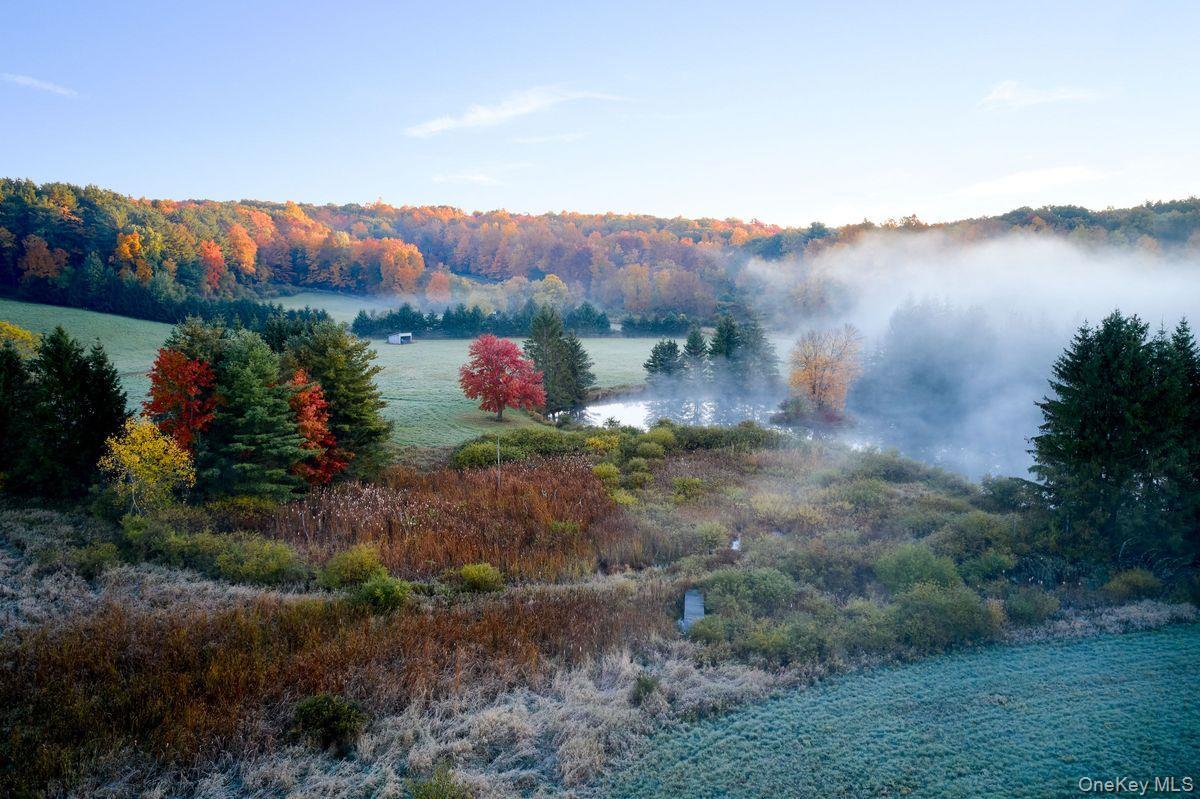 Single Family Martindale Columbia County, NY 12521, MLS-927653-4