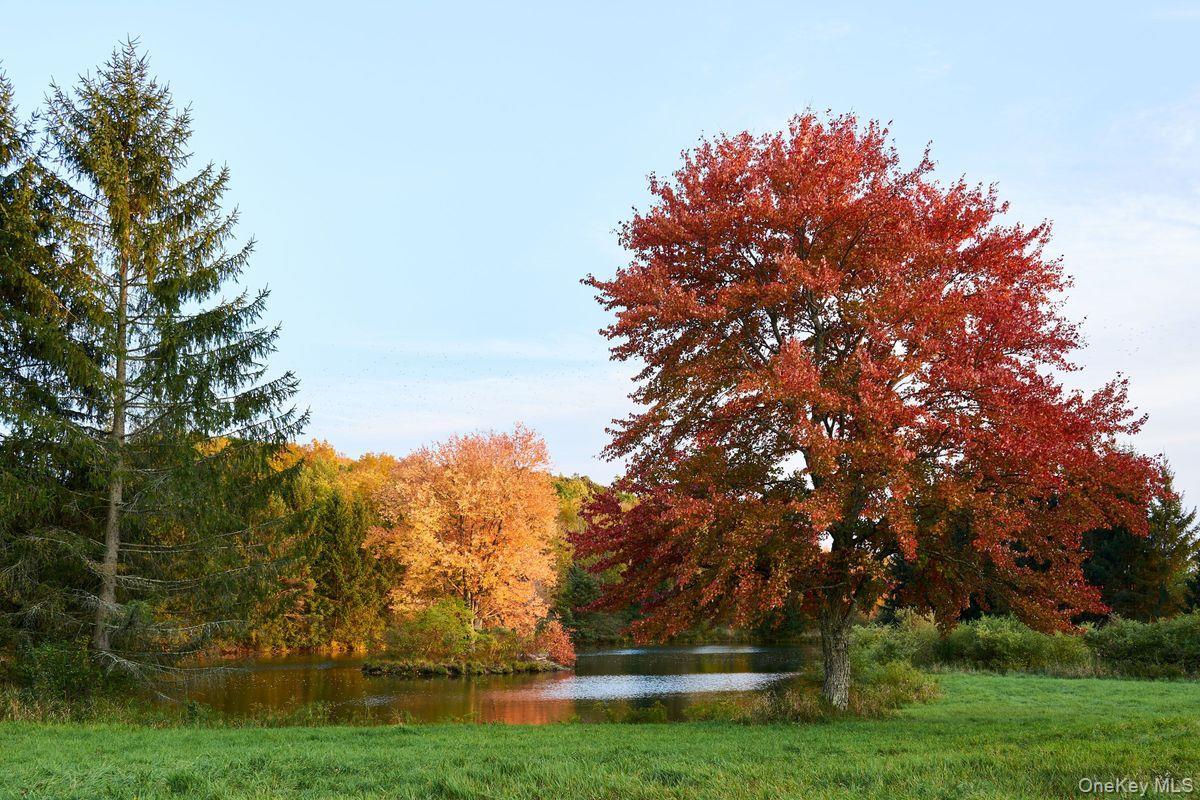 Single Family Martindale Columbia County, NY 12521, MLS-927653-5