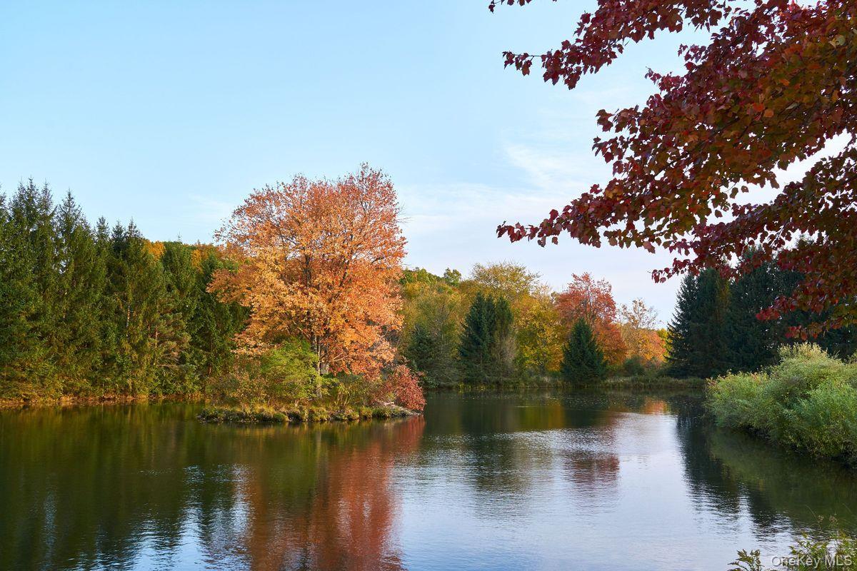 Single Family Martindale Columbia County, NY 12521, MLS-927653-6