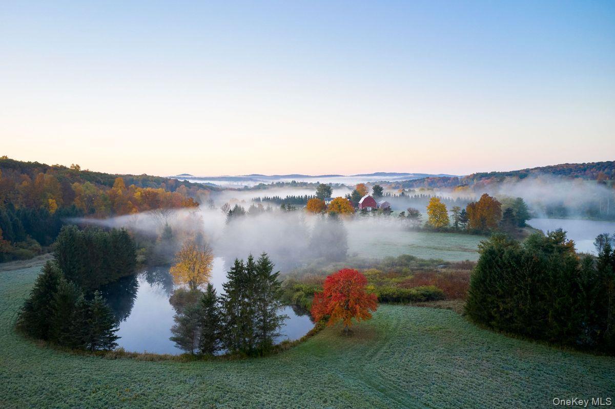 Single Family Martindale Columbia County, NY 12521, MLS-927653-7