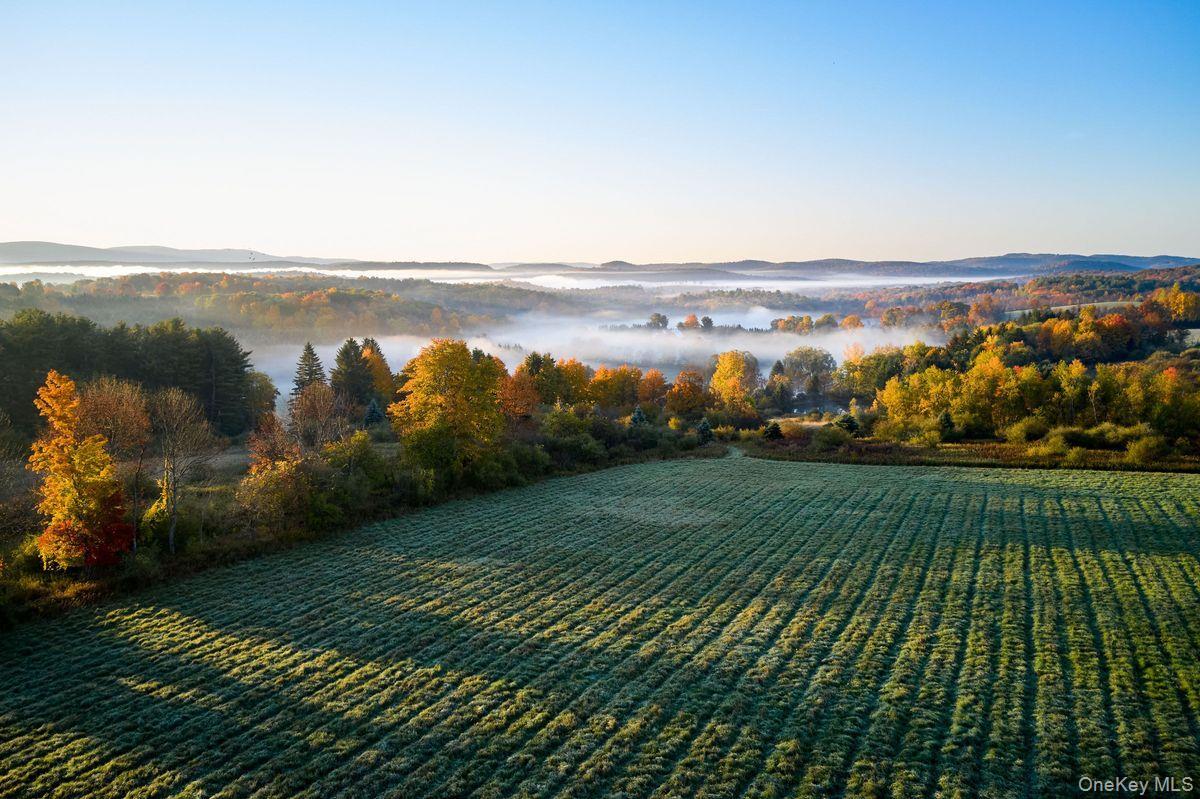 Single Family Martindale Columbia County, NY 12521, MLS-927653-8