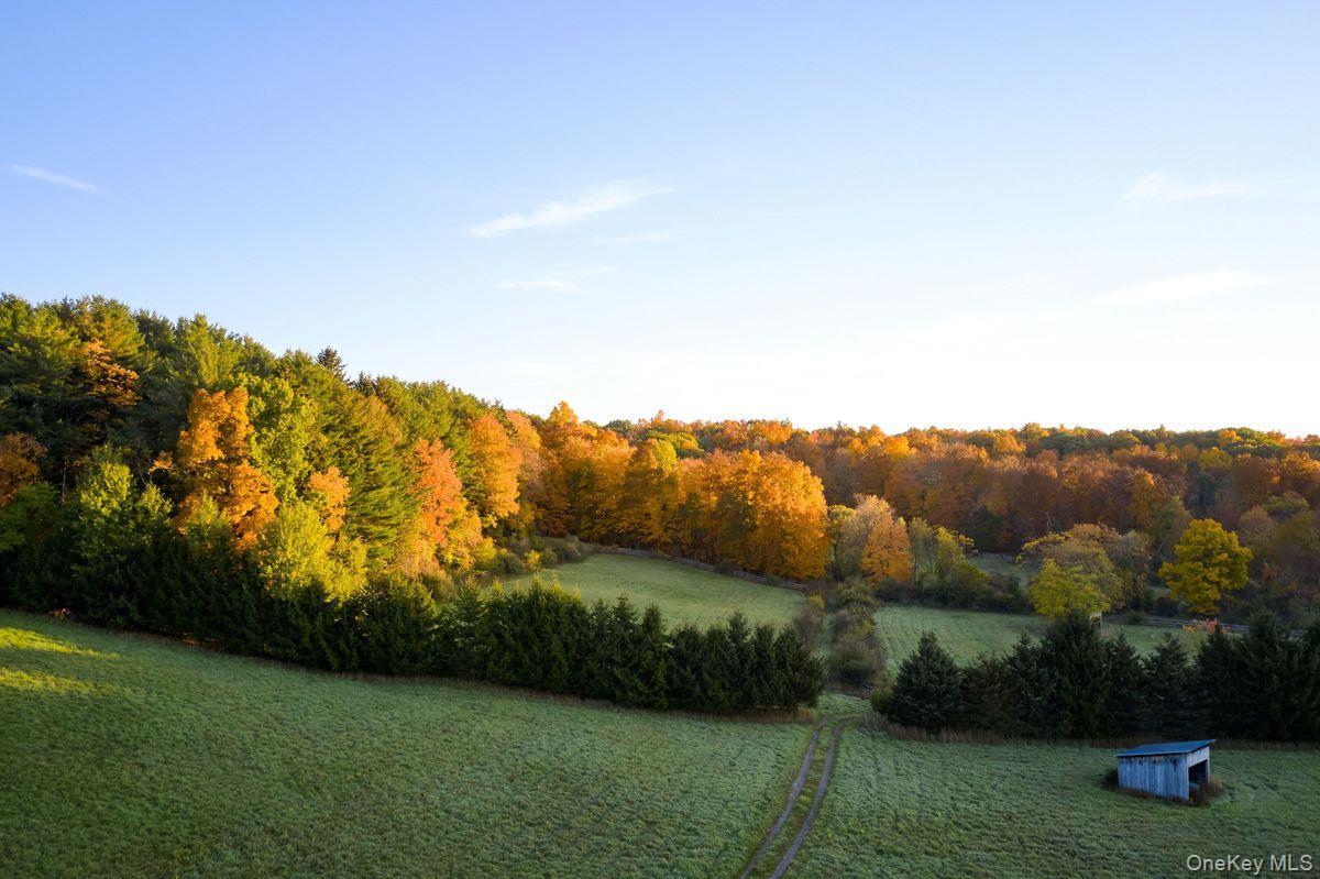 Single Family Martindale Columbia County, NY 12521, MLS-927653-9