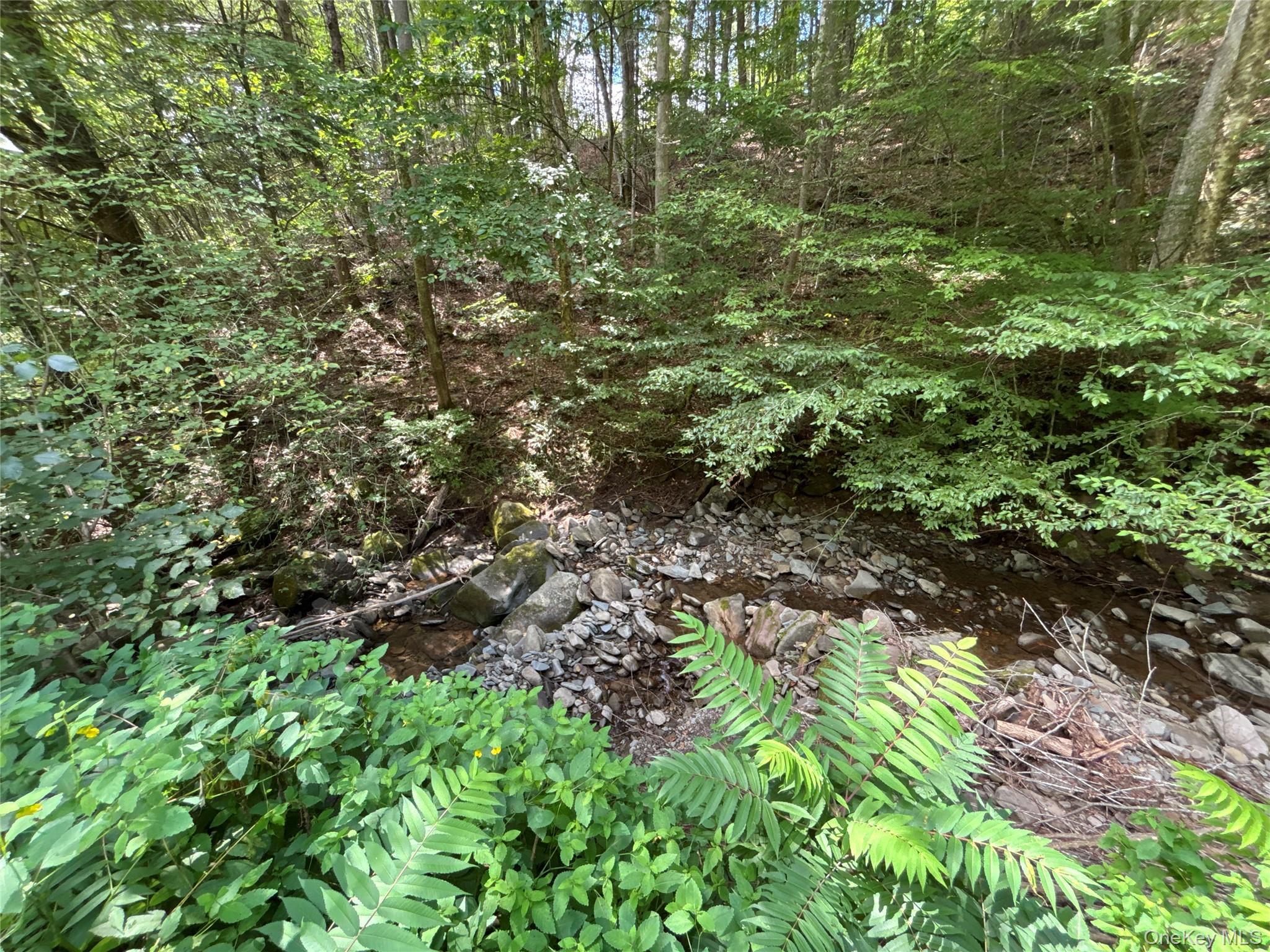 Single Family Basket Brook Sullivan County, NY 12760, MLS-927703-24