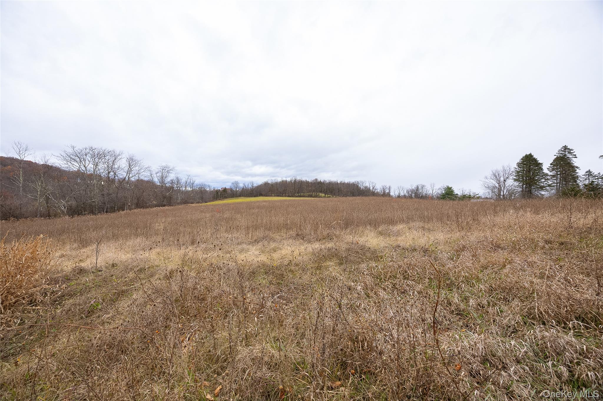 Single Family Peach  Dutchess County, NY 12601, MLS-927773-22