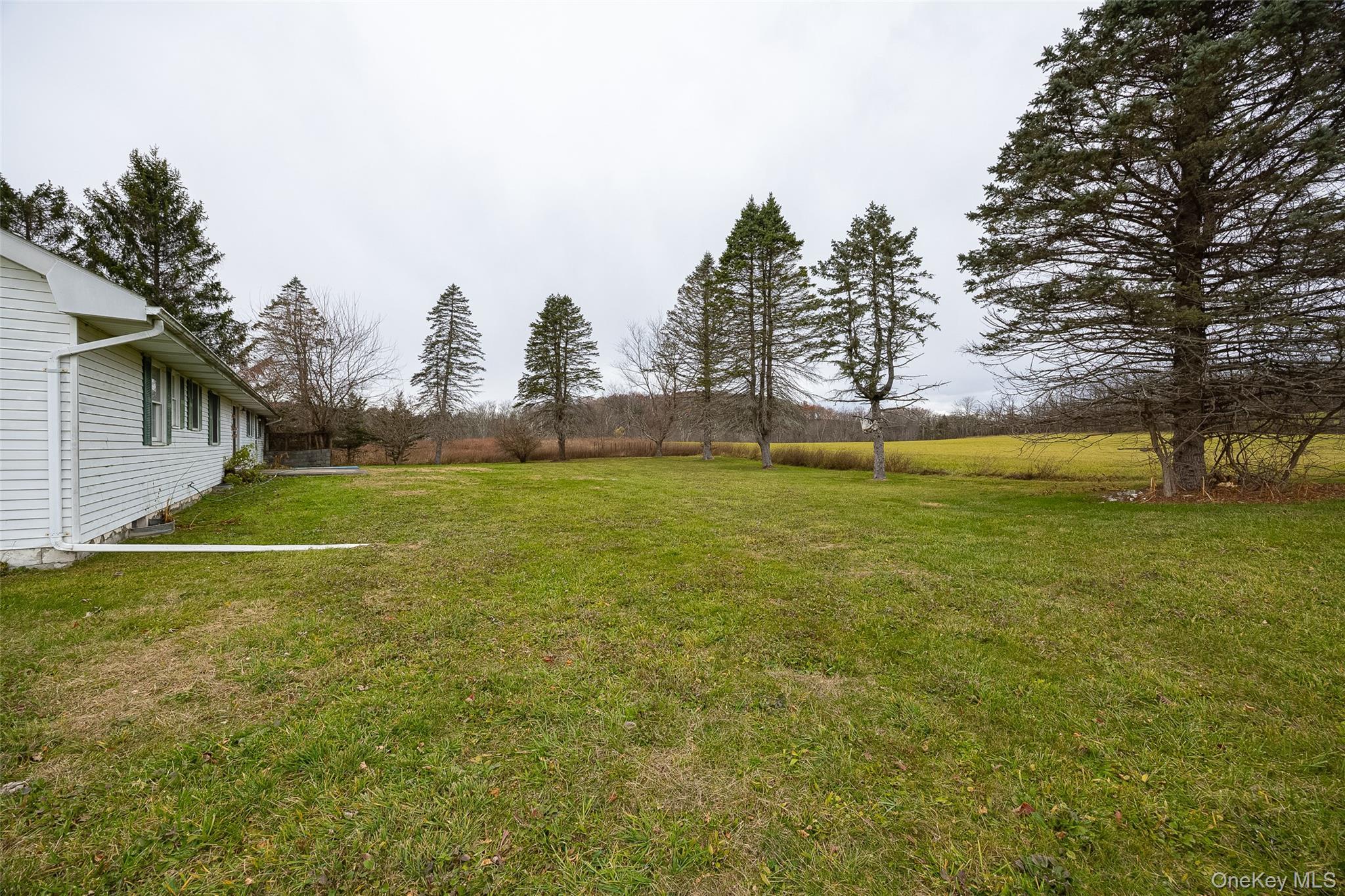 Single Family Peach  Dutchess County, NY 12601, MLS-927773-3