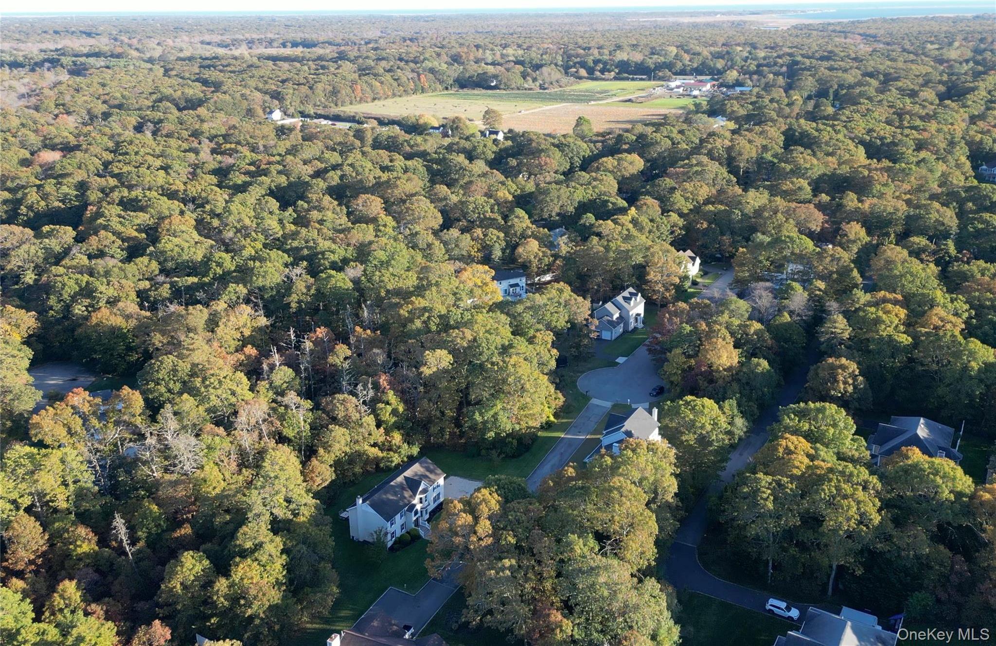 Single Family Grand Suffolk County, NY 11980, MLS-927776-35