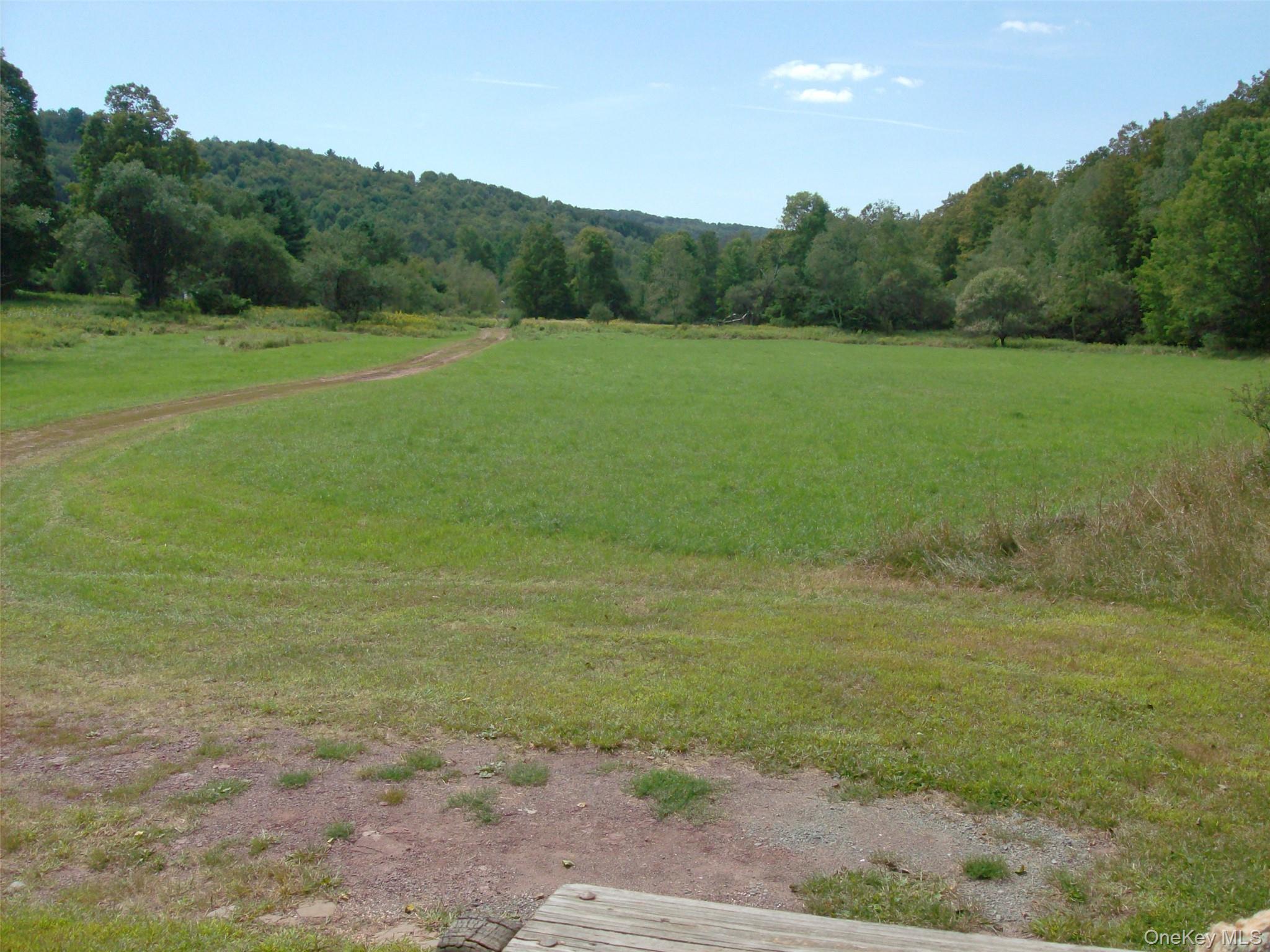 Single Family Cr-93  Sullivan County, NY 12736, MLS-927785-5