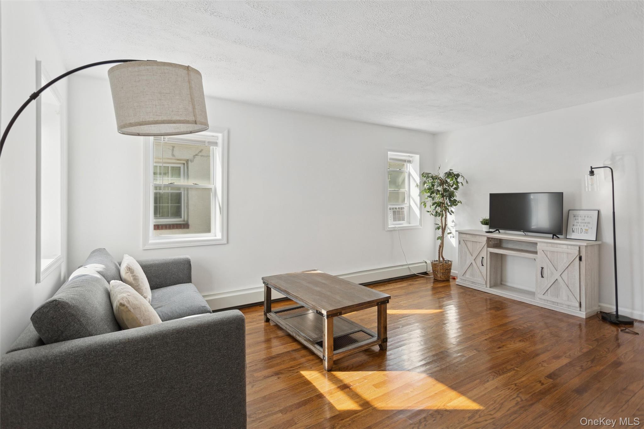 Single Family Market Nassau County, NY 11561, MLS-927816-4