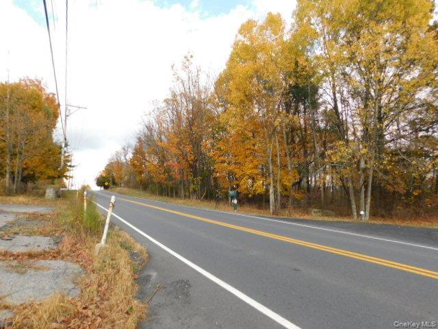 Single Family Plattekill Ardonia Ulster County, NY 12589, MLS-927830-9