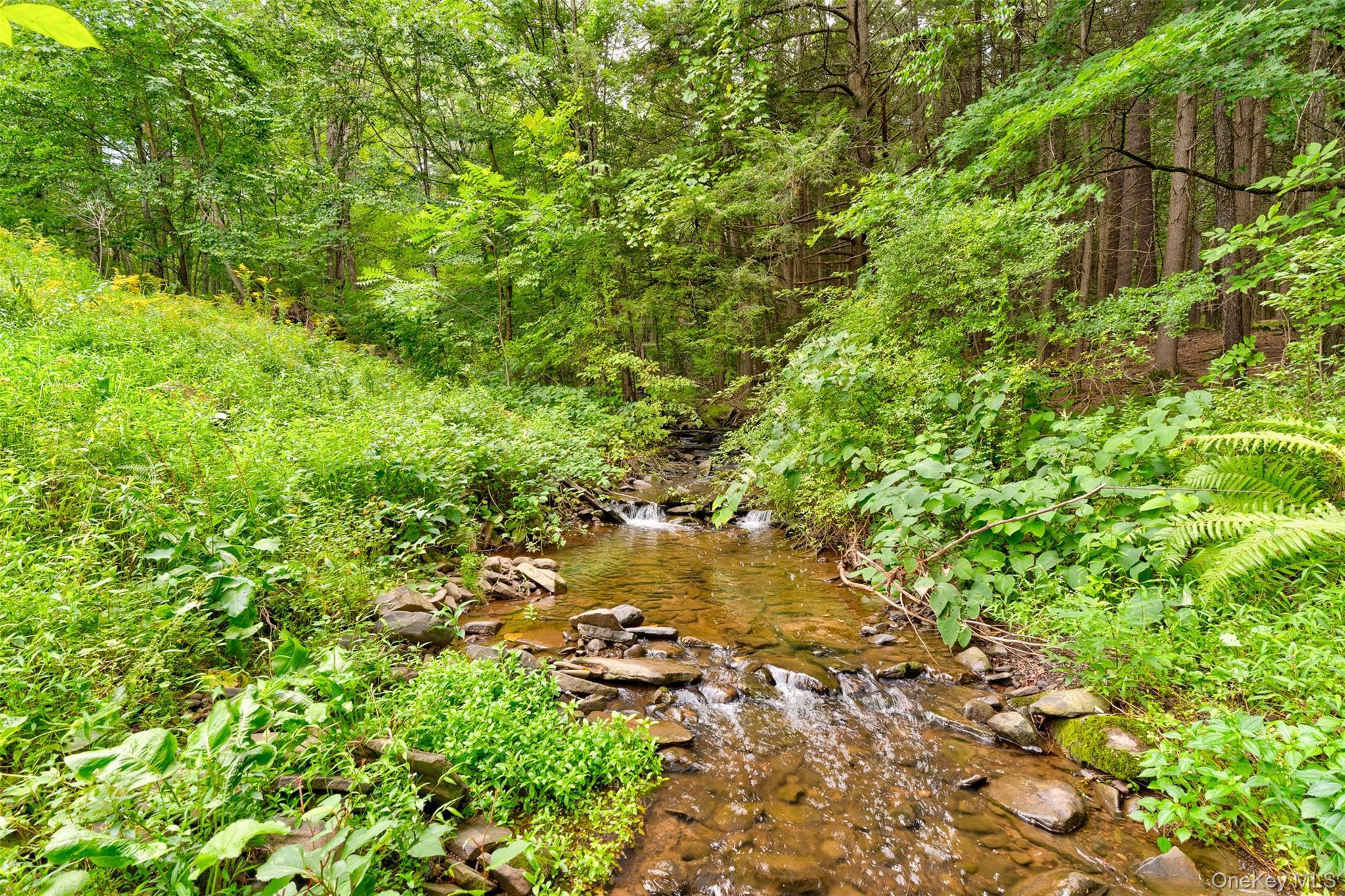 Single Family Deep Hollow Hill Sullivan County, NY 12764, MLS-927846-44