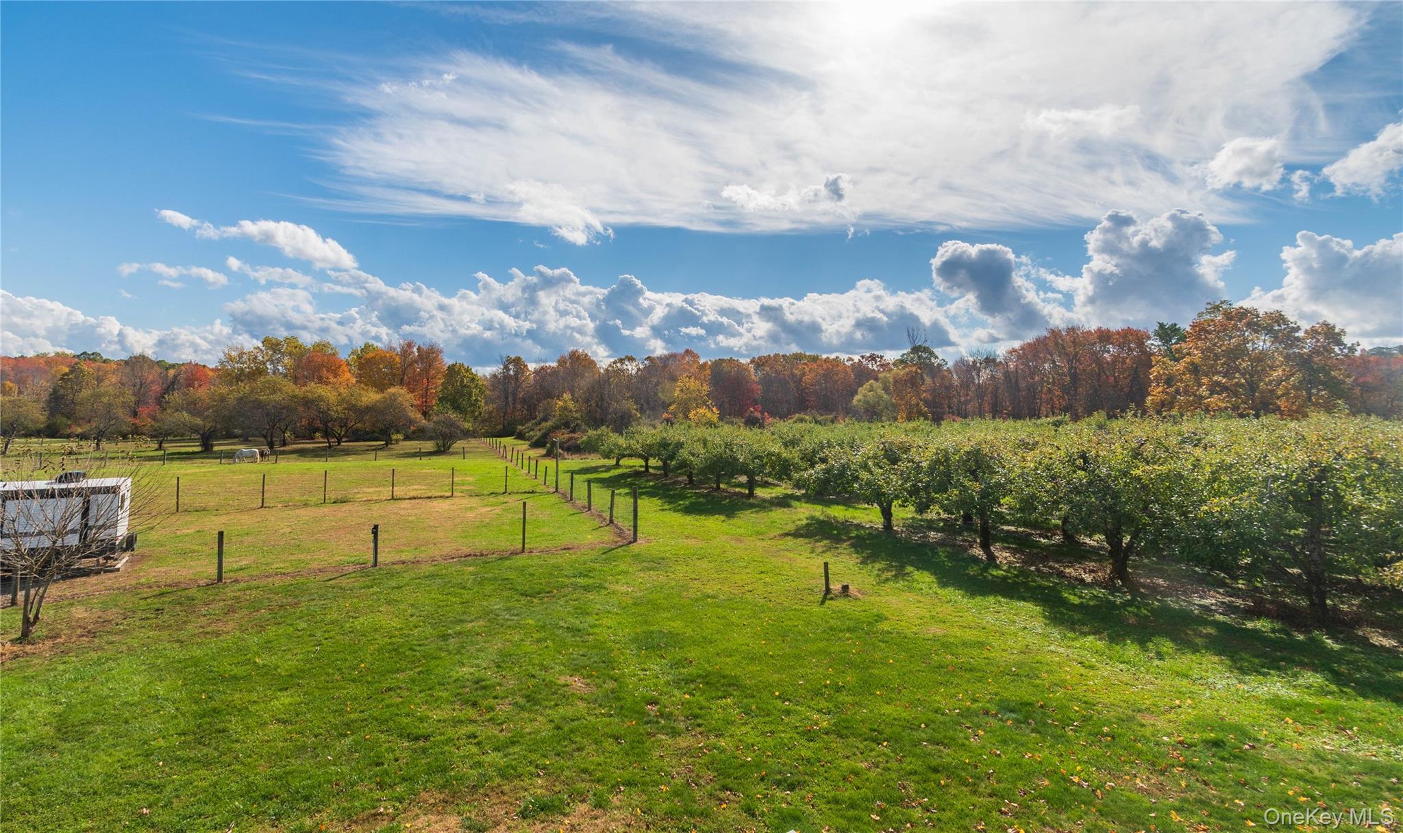 Single Family Orchard  Ulster County, NY 12528, MLS-927890-23