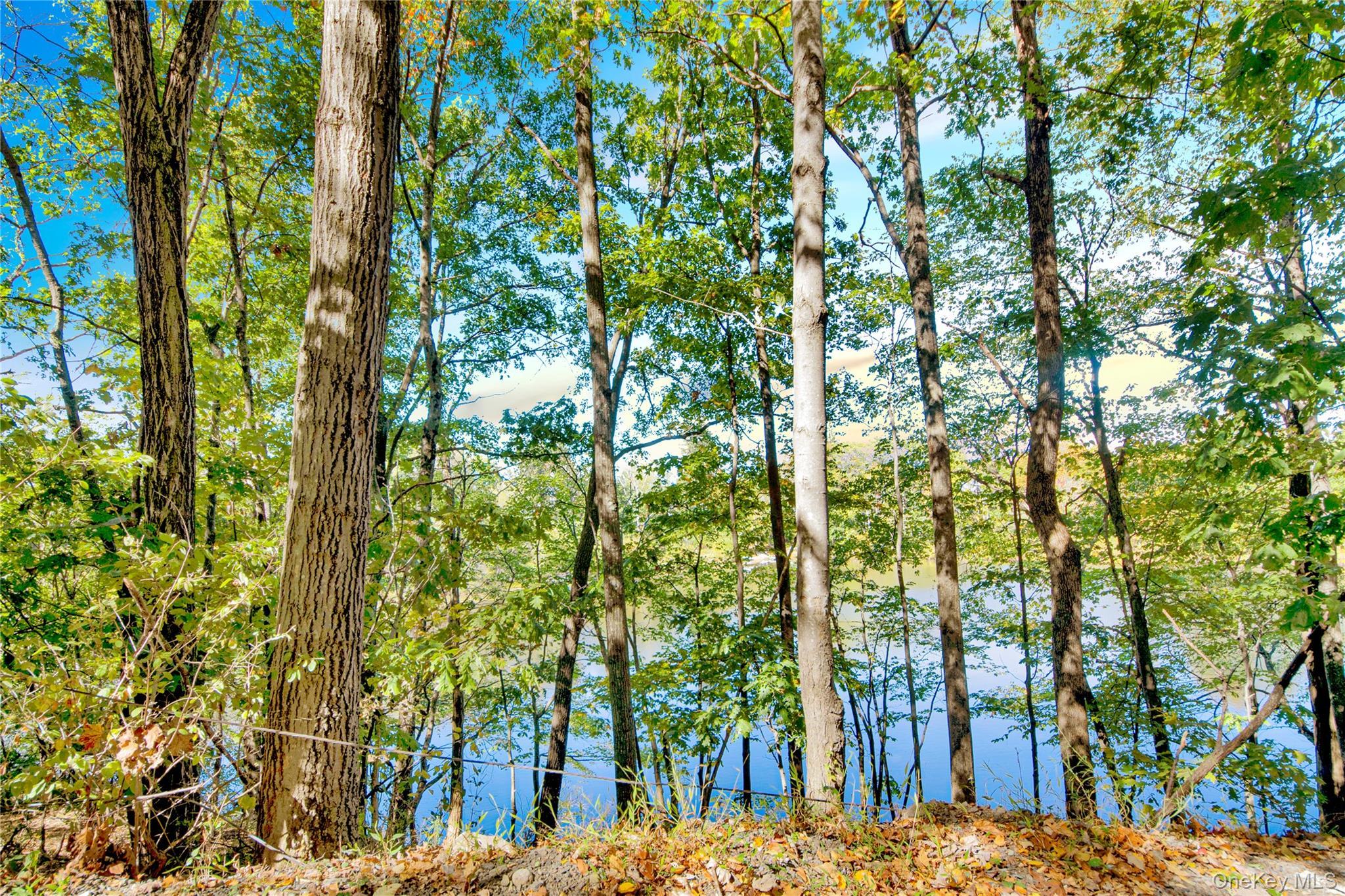 Single Family Shore  Orange County, NY 10940, MLS-927923-17