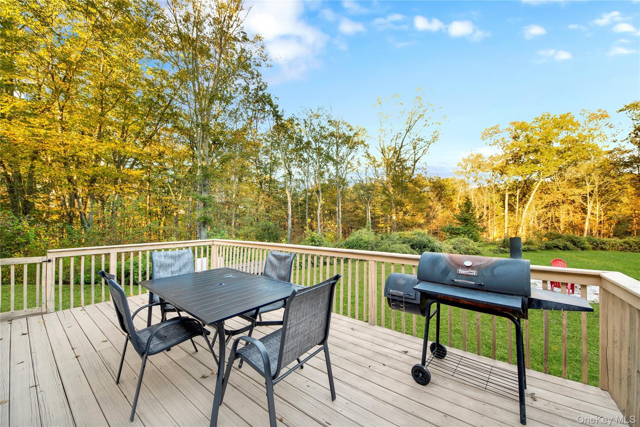 Single Family Penaluna Orange County, NY 10950, MLS-927974-17