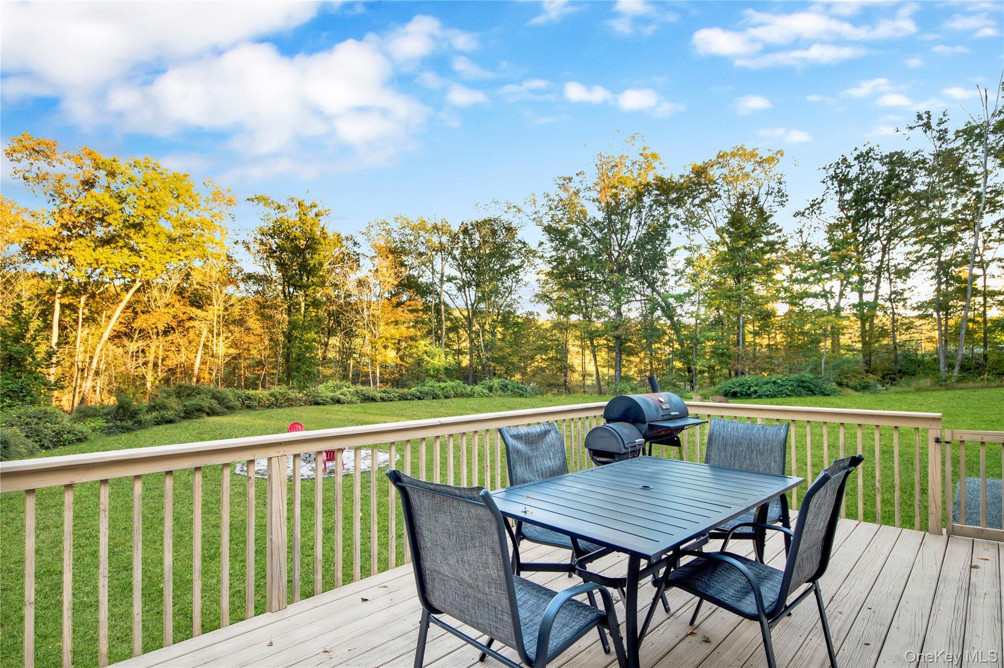 Single Family Penaluna Orange County, NY 10950, MLS-927974-18