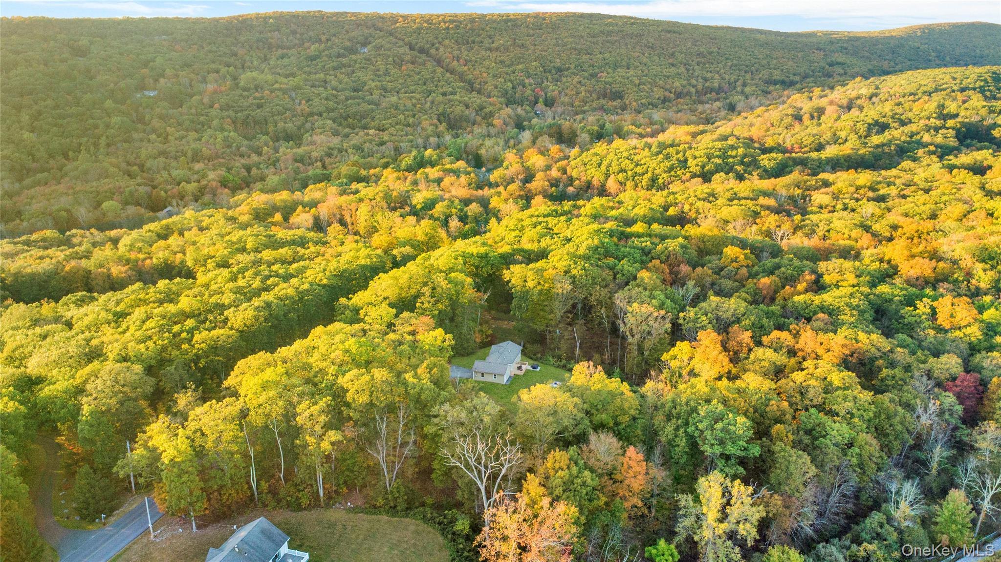 Single Family Penaluna Orange County, NY 10950, MLS-927974-37