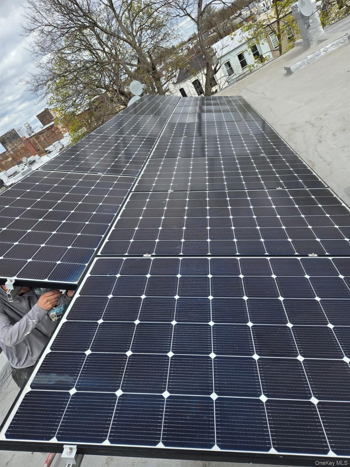 Single Family Grant  Brooklyn, NY 11208, MLS-928005-3