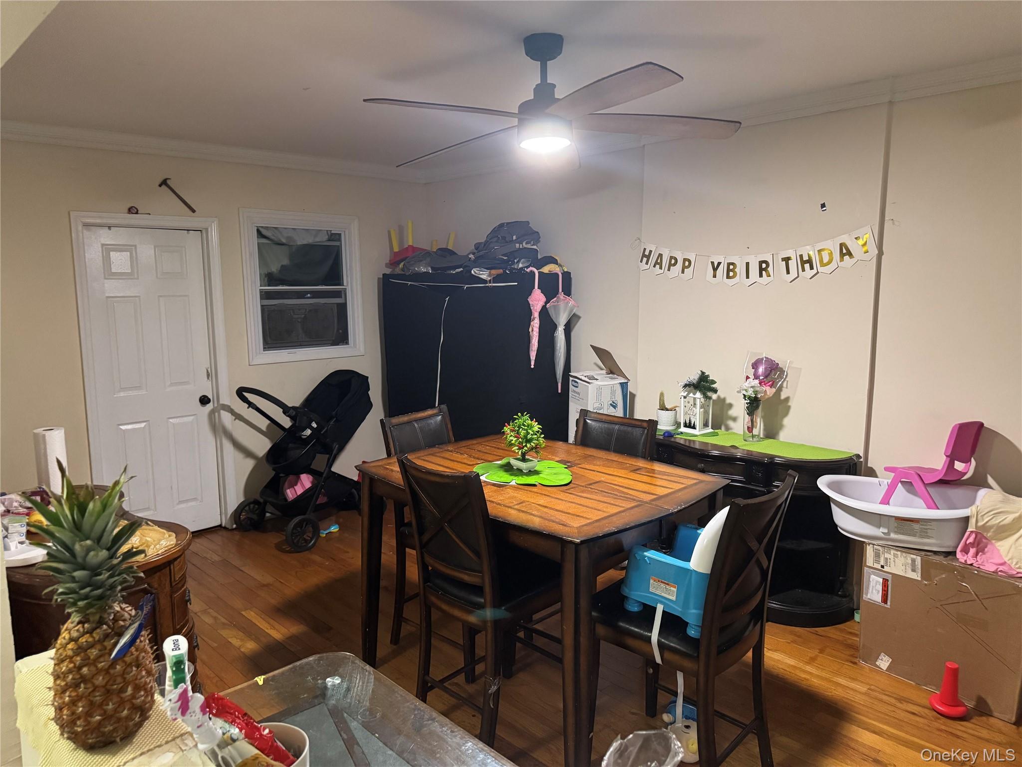 Single Family Grant  Brooklyn, NY 11208, MLS-928005-8