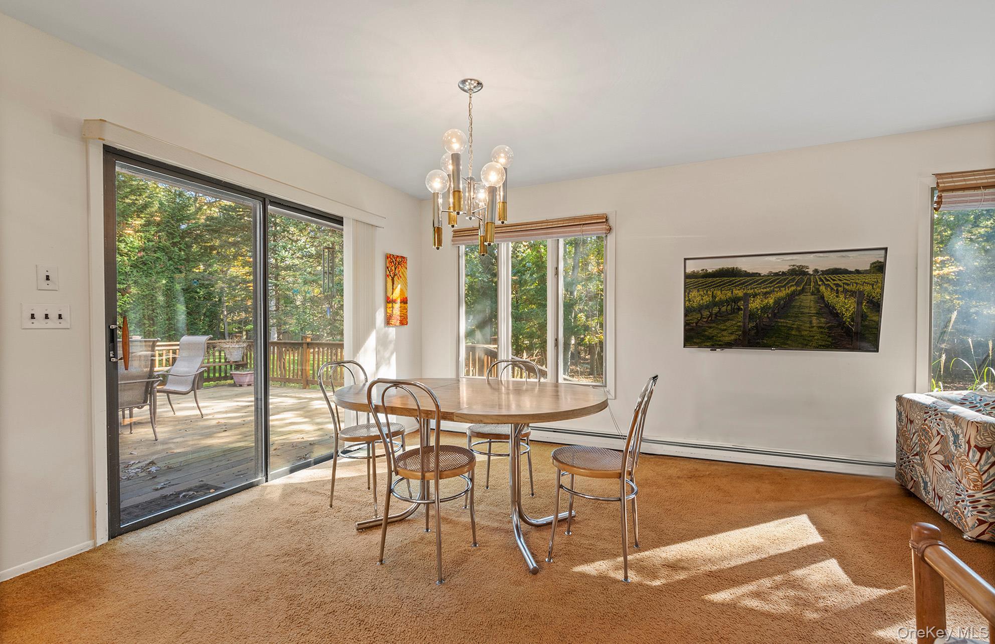 Single Family Sherwood Suffolk County, NY 11937, MLS-928007-12