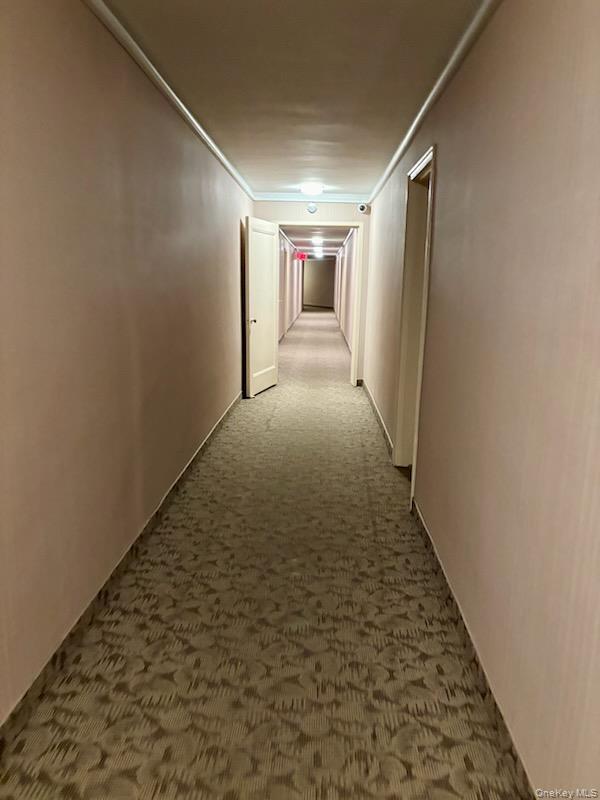 Coop Dubois  Nassau County, NY 11581, MLS-928044-16