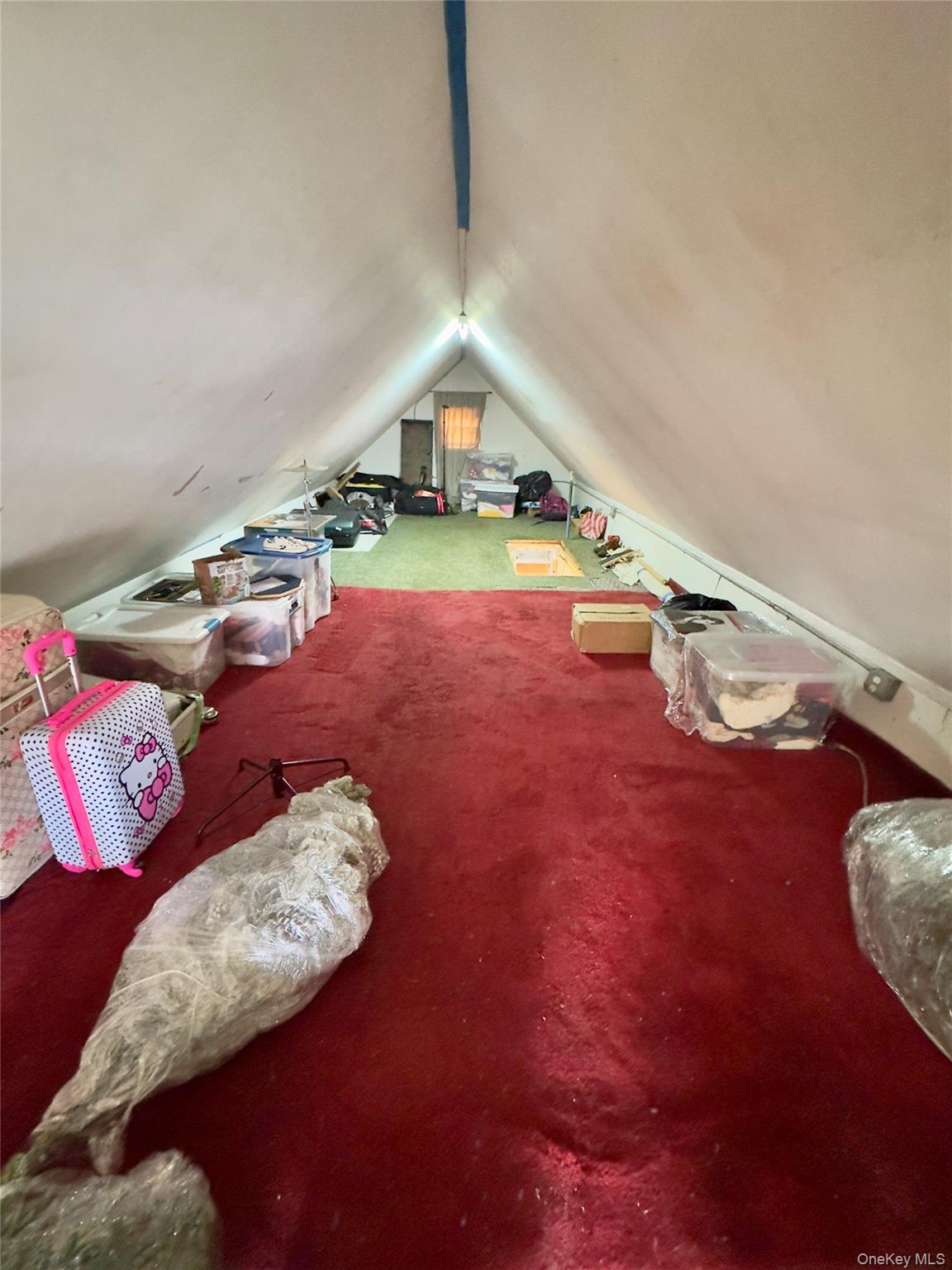 Single Family 94th Street  Queens, NY 11369, MLS-928082-23