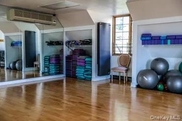 Condo Diane Queens, NY 11360, MLS-928120-17